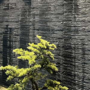 Aged Stone Texture Series